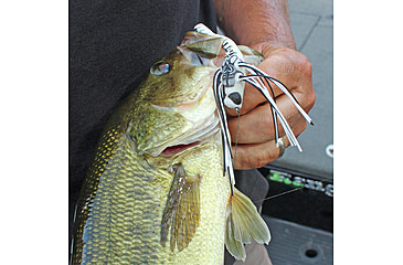 Image of Lunkerhunt Dragonfly Bait Soft Bait, 1, 3in, Skimmer, DRGF05