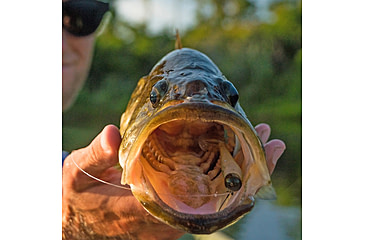 Image of Lunkerhunt Finesse Swimbaits, 1, 3in, White Ice, FS05