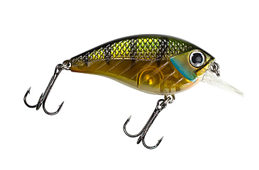 Image of Lunkerhunt Impact Jolt 2.5F Bait, Green Back, 2.25in &amp; 1/3 oz, IMFSQ04