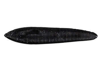 Image of Lunkerhunt Leech Bait Soft Bait, 10, 3in, Black, LEECH301