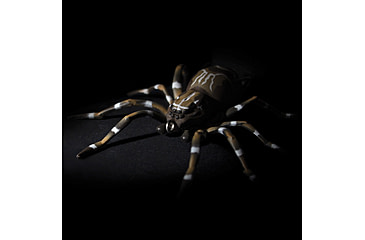 Image of Lunkerhunt Phantom Spider Bait Topwater, 1, 2in, Dock, SPIDER02
