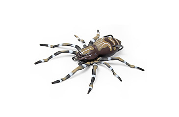 Image of Lunkerhunt Phantom Spider Bait Topwater, 1, 2in, Dock, SPIDER02