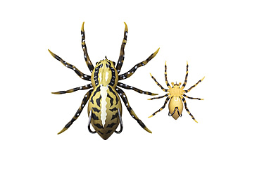 Image of Lunkerhunt Phantom Spider Bait Topwater, 1, 2.25in, Fang, LSPIDER07