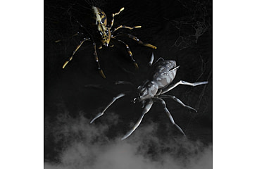 Image of Lunkerhunt Phantom Spider Bait Topwater, 1, 2in, Fang, SPIDER07