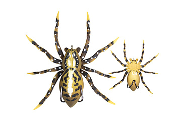 Image of Lunkerhunt Phantom Spider Bait Topwater, 1, 2in, Fang, SPIDER07