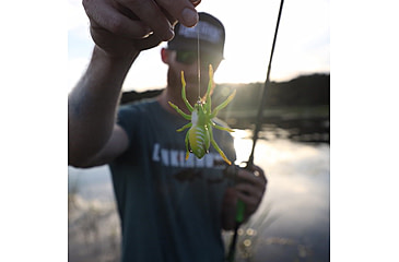 Image of Lunkerhunt Phantom Spider Bait Topwater, 1, 2in, Leaf, SPIDER03