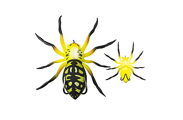 Image of Lunkerhunt Phantom Spider Bait Topwater, 1, 2.25in, Poison, LSPIDER04