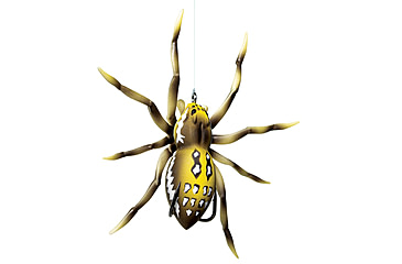 Image of Lunkerhunt Phantom Spider Bait Topwater, 1, 2in, Six Spot, SPIDER01
