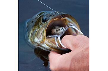 Image of Lunkerhunt Phantom Spider Bait Topwater, 1, 2in, White Wolf, SPIDER06