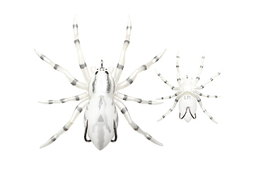 Image of Lunkerhunt Phantom Spider Bait Topwater, 1, 2in, White Wolf, SPIDER06