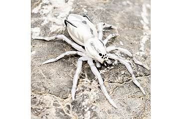 Image of Lunkerhunt Phantom Spider Bait Topwater, 1, 2in, White Wolf, SPIDER06