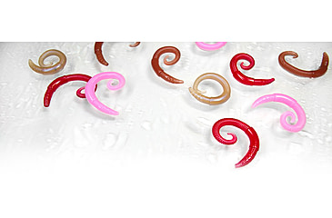 Image of Lunkerhunt River Worm Worm, 8, 2in, Dew Worm, LHPFRW01