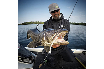 Image of Lunkerhunt Swim Bento Bait, Ghost, 4.5in, LHP BS 402