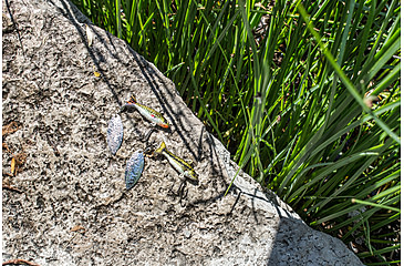 Image of Lunkerhunt True Spin Bait, Bass, 1.75in &amp; 3/16 oz, TRSP04