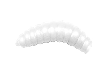 Image of Lunkerhunt Wax Worm-Bait Jar Worm, 40, 0.75in, White, HWJ02