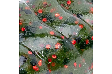 Image of MACH MACH Craw, Watermelon Red Flake, 3.5in, MHCRW-18