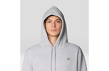 Image of Mountain Hardwear MHW Logo M Hoody - Mens