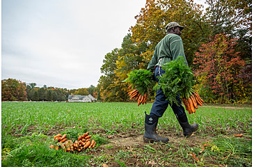Image of Muck Boots Muckmaster Commercial Grade Tall Rubber Work Boots - Mens, Black, 5, MMM-500A-BLK-050