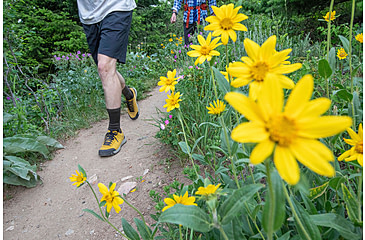 Image of Oboz Bozeman II Hiking Shoes - Mens