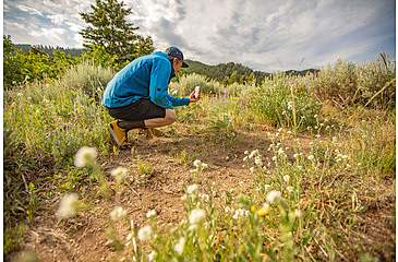 Image of Oboz Bozeman II Hiking Shoes - Mens