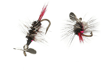 Image of Pistol Pete Flies Black Striped, 12 Sz, 2 Pk, 12002-2PK
