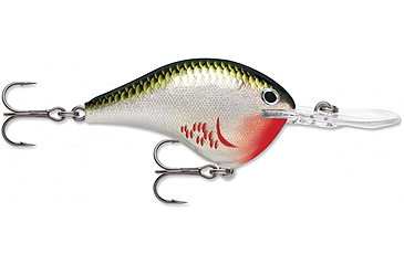 Image of Rapala Dives-To 12 Jig, Bleeding Olive Shiner, DT12BOS