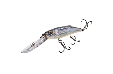 Image of Salmo Freediver 120 Crankbaits, Supernatural Alewife, 12cm/4.75in, QFD200