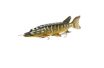 Image of Savage Gear 3D Line Thru Pike Swimbait Soft Bait