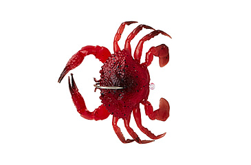Image of Savage Gear Toughtec Crab Soft Bait, Pack of 1, 0.75in, Crimson Crab, 1586647