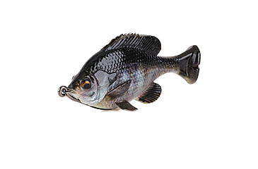 Image of Savage Gear Pulse Tail Bluegill LB Soft Bait