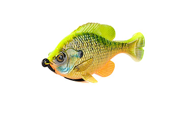 Image of Savage Gear Pulse Tail Bluegill LB Soft Bait