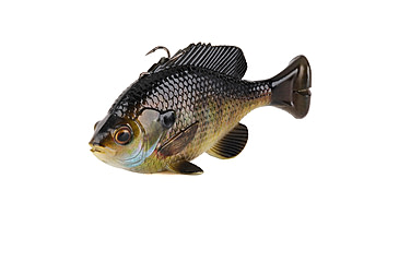 Image of Savage Gear Pulse Tail Bluegill Line Thru Soft Bait