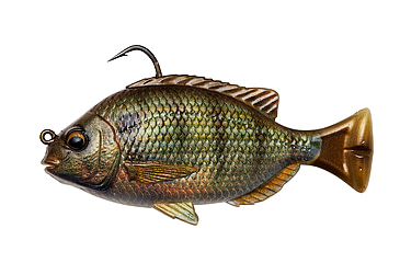 Image of Savage Gear Pulse Tail Pinfish RTF 4in Dark Pinfish, 3242