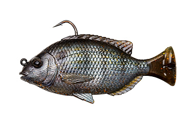 Image of Savage Gear Pulse Tail Pinfish RTF 4in Ghost Pinfish, 3241