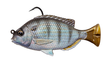 Image of Savage Gear Pulse Tail Pinfish RTF 4in White Pinfish, 3243