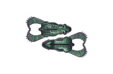 Image of Savage Gear Tough Toad Topwater Soft Bait