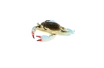 Image of Savage Gear Toughtec Crab Soft Bait