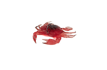 Image of Savage Gear Toughtec Crab Soft Bait