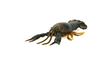 Image of Savage Gear Toughtec NED Craw Soft Bait