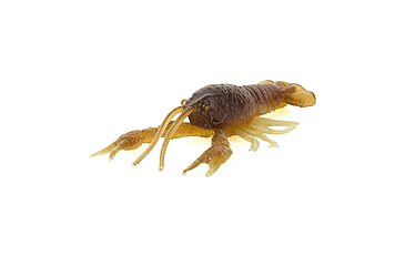 Image of Savage Gear Toughtec NED Craw Soft Bait