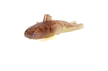 Image of Savage Gear Toughtec NED Goby Soft Bait