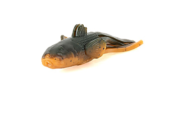 Image of Savage Gear Toughtec NED Goby Soft Bait