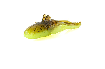 Image of Savage Gear Toughtec NED Goby Soft Bait