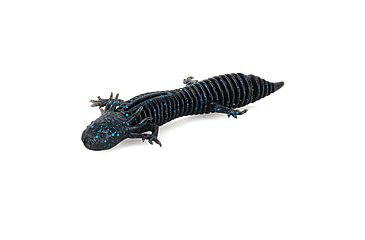 Image of Savage Gear Toughtec NED Salamander Soft Bait