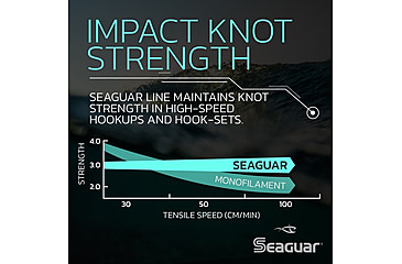 Image of Seaguar Blue Label Leader Fishing Leader, 25 yards, 20 lbs, 20FC25