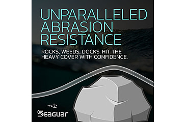 Image of Seaguar Inshore Fishing Leader, 100 yards, 12 lbs, 12IS100