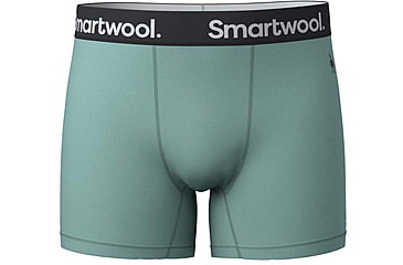 Image of Smartwool Active Boxer Brief Boxed - Mens