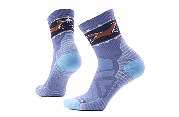 Image of Smartwool Hike Light Cushion Fox Meadow Mid Crew Socks - Womens
