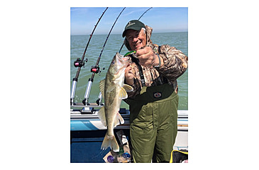 Image of SteelShad 3/8 oz Blade Bait, Perch/Firetiger, SSL-10004