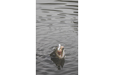 Image of SteelShad 3/8 oz Blade Bait, White Shad, SSL-10062